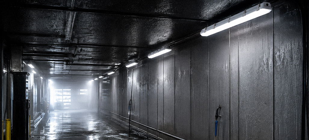 Eureka Series fixture installed in an industrial washdown setting