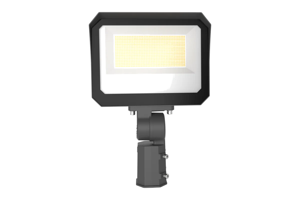 Everest LED flood light, the configured housing and mount