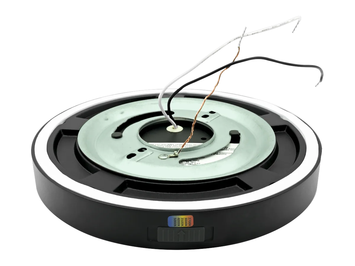 Lunar Eclipse with its backplate